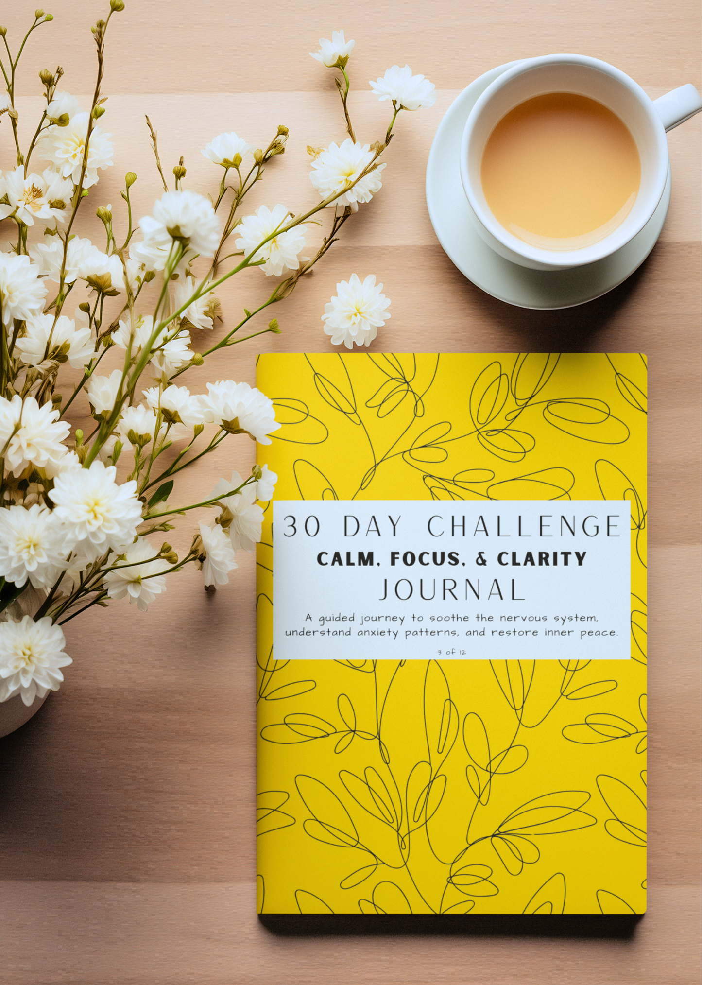 30 Days of Calm, Focus, & Clarity - Journal - Single Journal + Digital Bundle