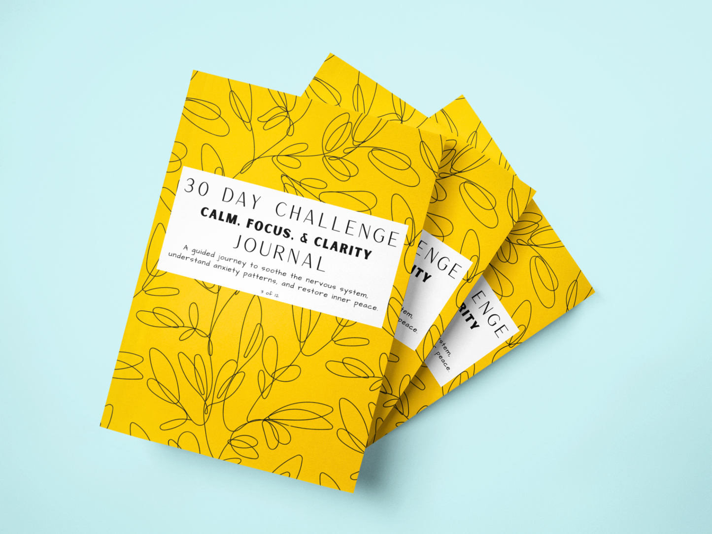 30 Days of Calm, Focus, & Clarity - Journal - Single Journal + Digital Bundle
