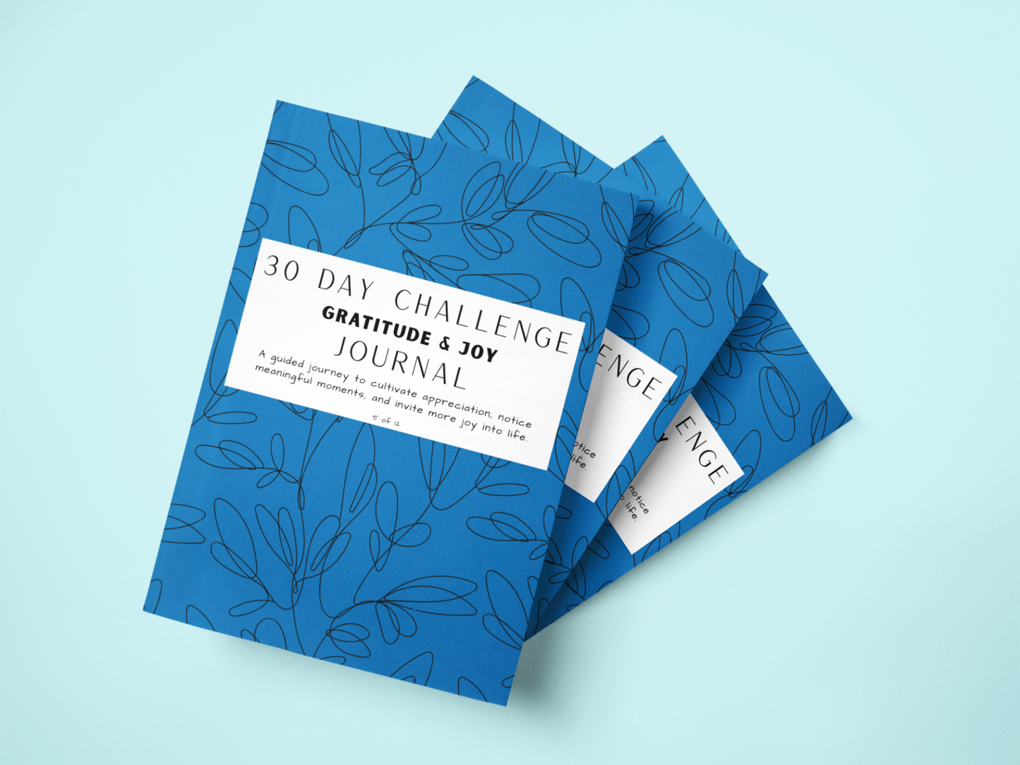 30 Days of Gratitude & Joy - Single Journal + Digital Bundle