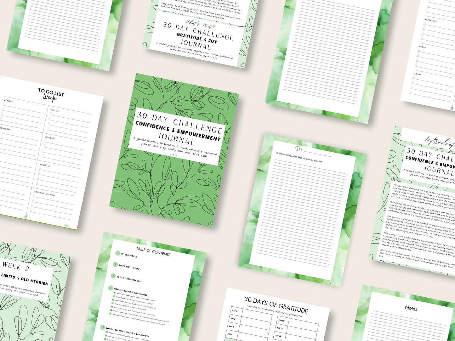 30 Day Challenge - Super Bundle - Complete Hardcover Set - 12 Journals + 12 Digital Downloads