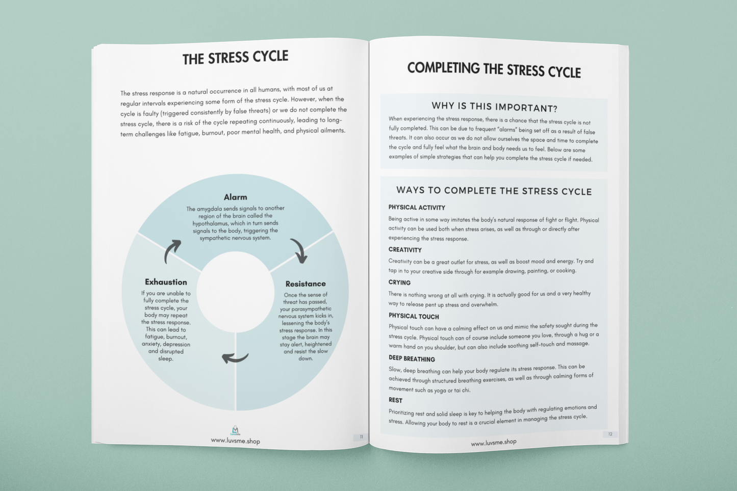 Healing & Growth Workbook Series Bundle - Paperback