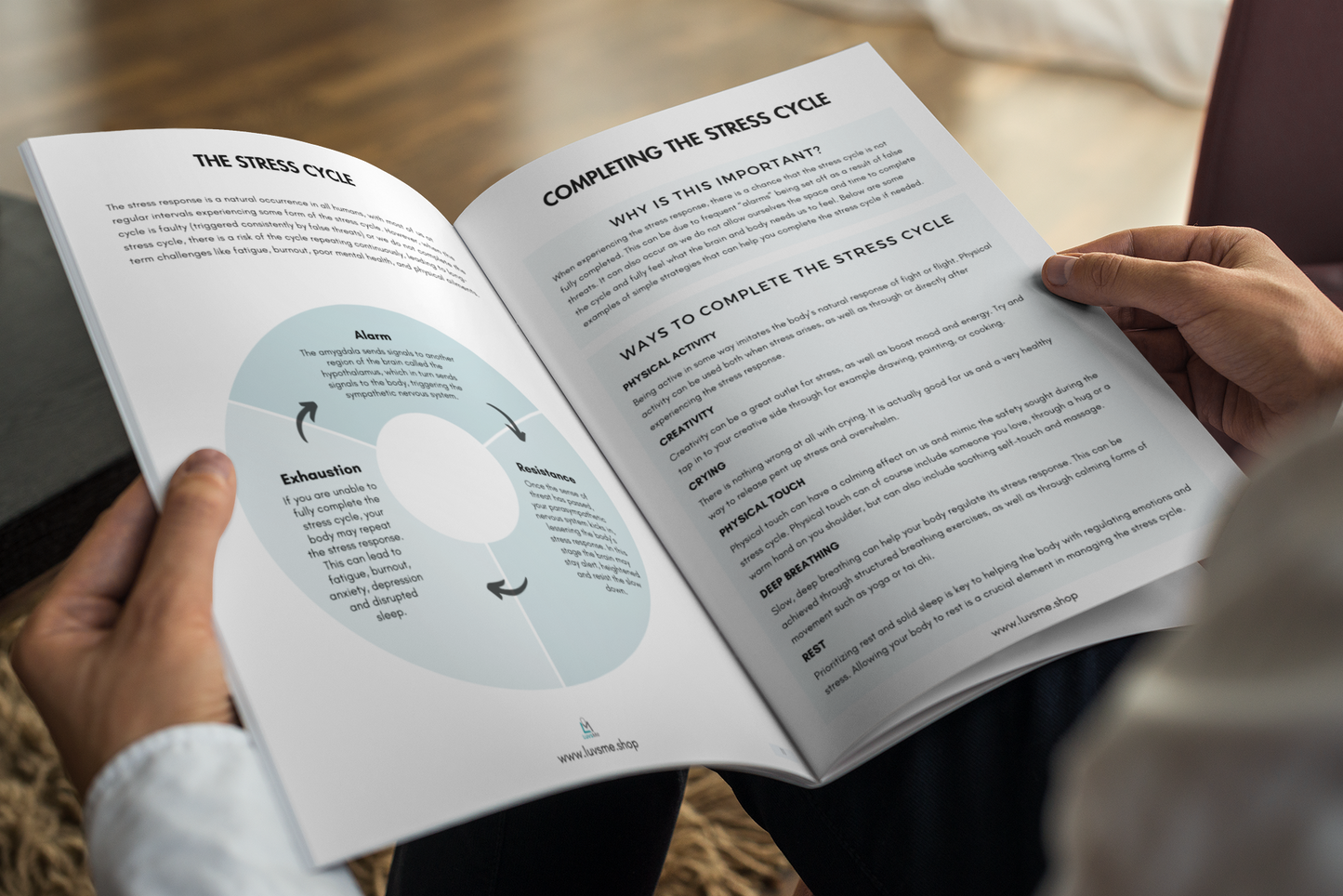 Healing & Growth Workbook Series Bundle - Paperback
